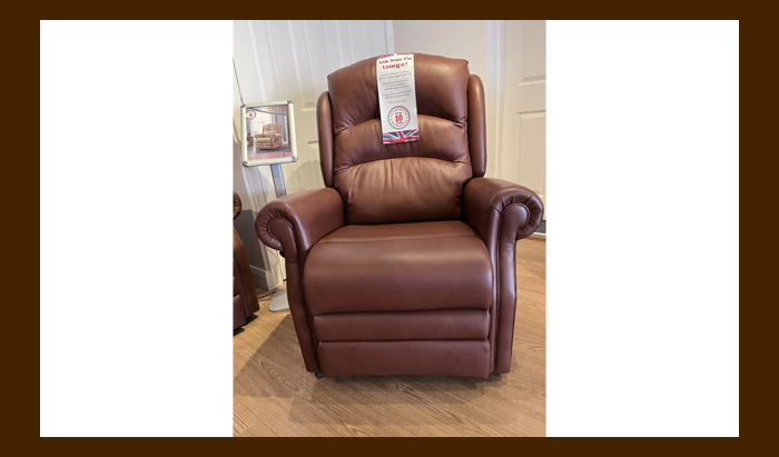 4 Motor Rise & Recline Chair In Hide Leather